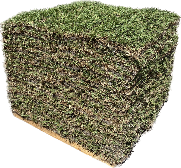 Floratam St. Augustine Sod 400 Square Foot Pallet Wekiva Farms