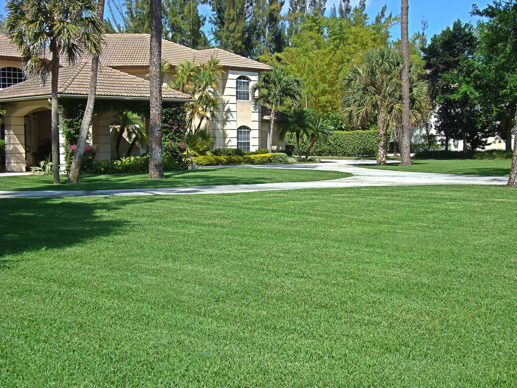 Floratam St. Augustine Sod 400 Square Foot Pallet Wekiva Farms