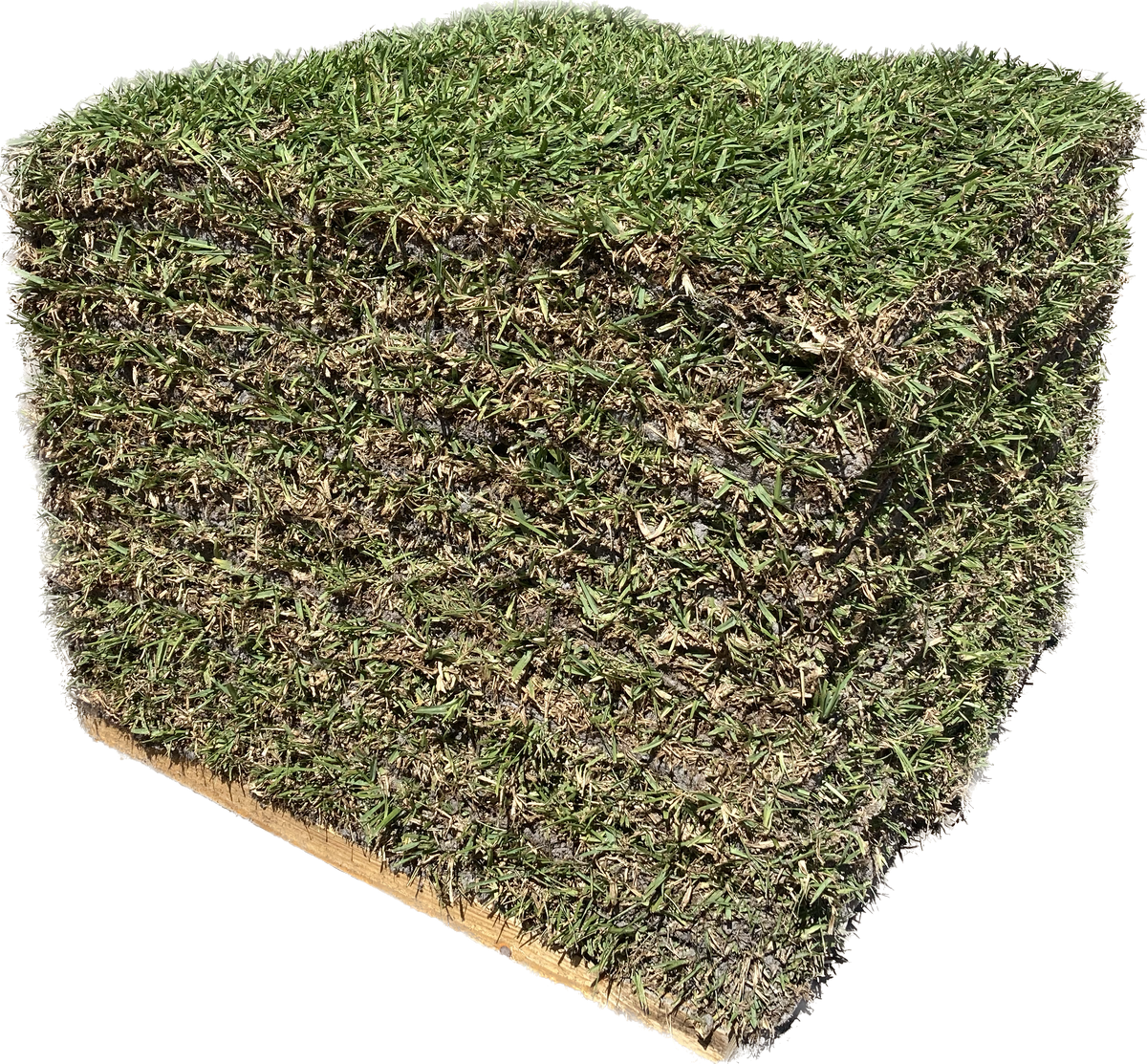 Floratam St. Augustine Sod - 400 Square Foot Pallet
